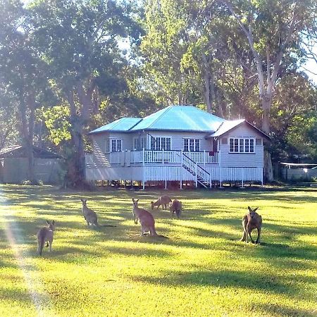 Lake Weyba Noosa Lodge & Kangaroos ペレジアンビーチ エクステリア 写真