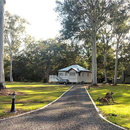 Lake Weyba Noosa Lodge & Kangaroos ペレジアンビーチ エクステリア 写真