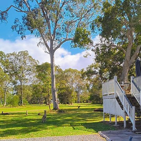 Lake Weyba Noosa Lodge & Kangaroos ペレジアンビーチ エクステリア 写真