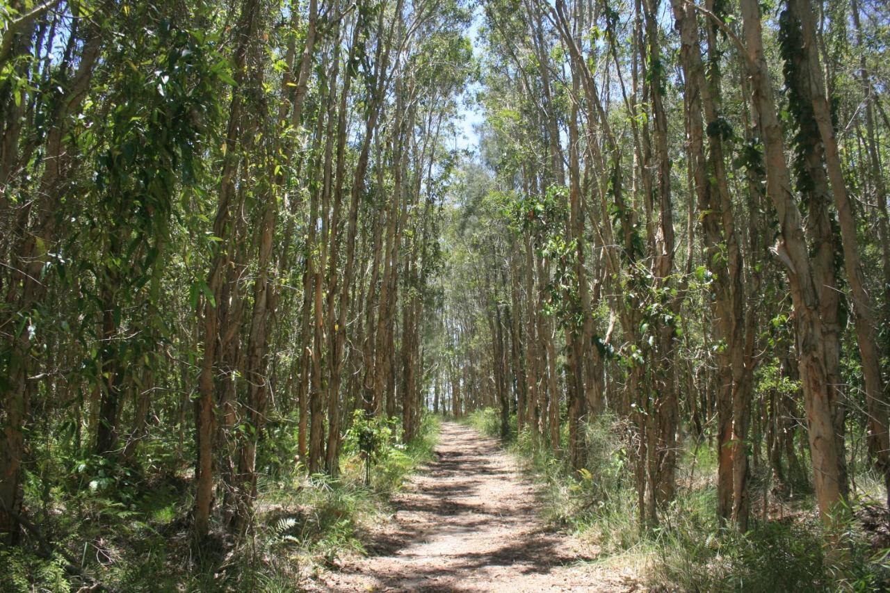 Lake Weyba Noosa Lodge & Kangaroos ペレジアンビーチ エクステリア 写真