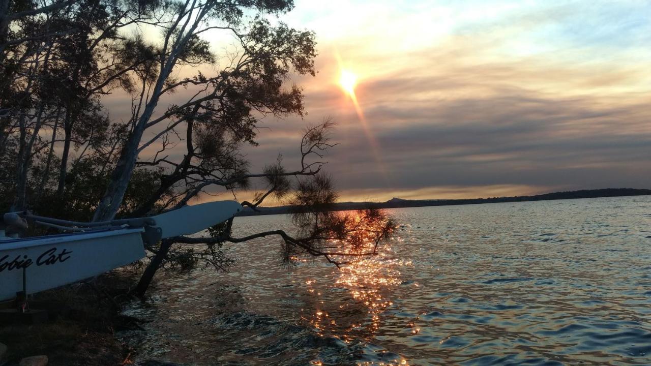 Lake Weyba Noosa Lodge & Kangaroos ペレジアンビーチ エクステリア 写真