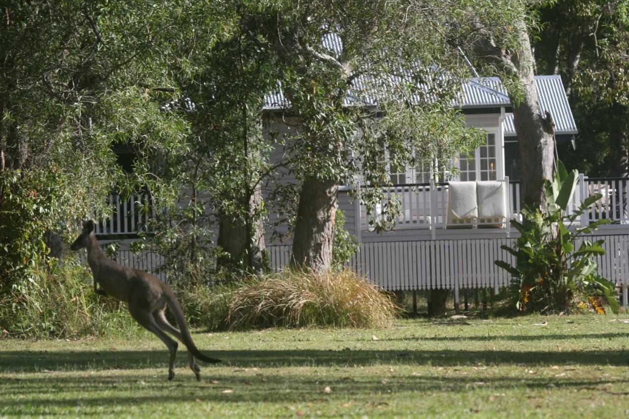 Lake Weyba Noosa Lodge & Kangaroos ペレジアンビーチ エクステリア 写真