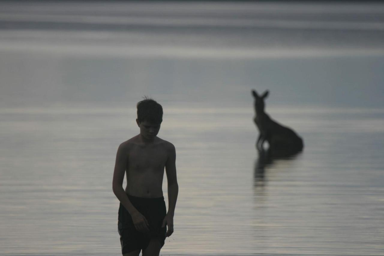 Lake Weyba Noosa Lodge & Kangaroos ペレジアンビーチ エクステリア 写真