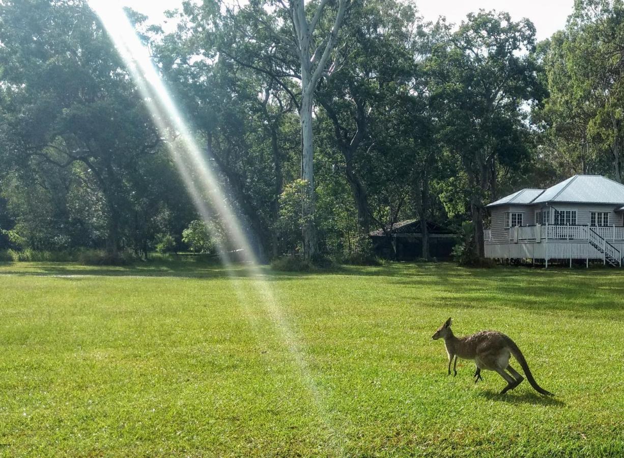 Lake Weyba Noosa Lodge & Kangaroos ペレジアンビーチ エクステリア 写真