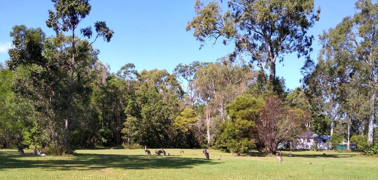 Lake Weyba Noosa Lodge & Kangaroos ペレジアンビーチ エクステリア 写真