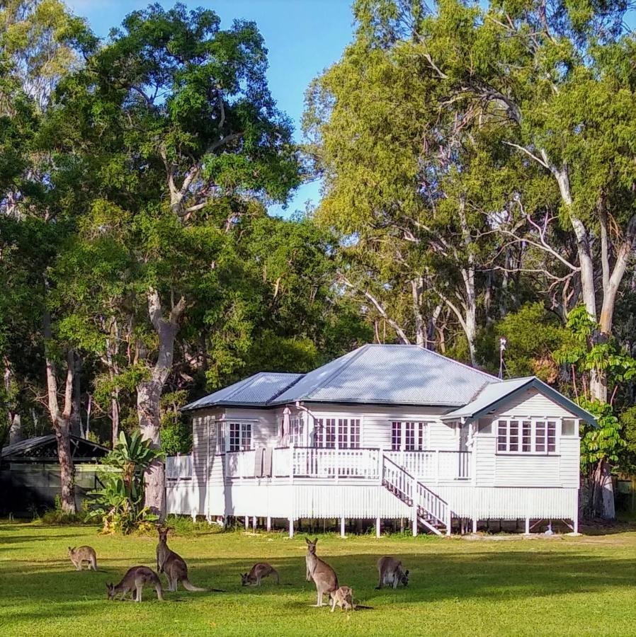 Lake Weyba Noosa Lodge & Kangaroos ペレジアンビーチ エクステリア 写真