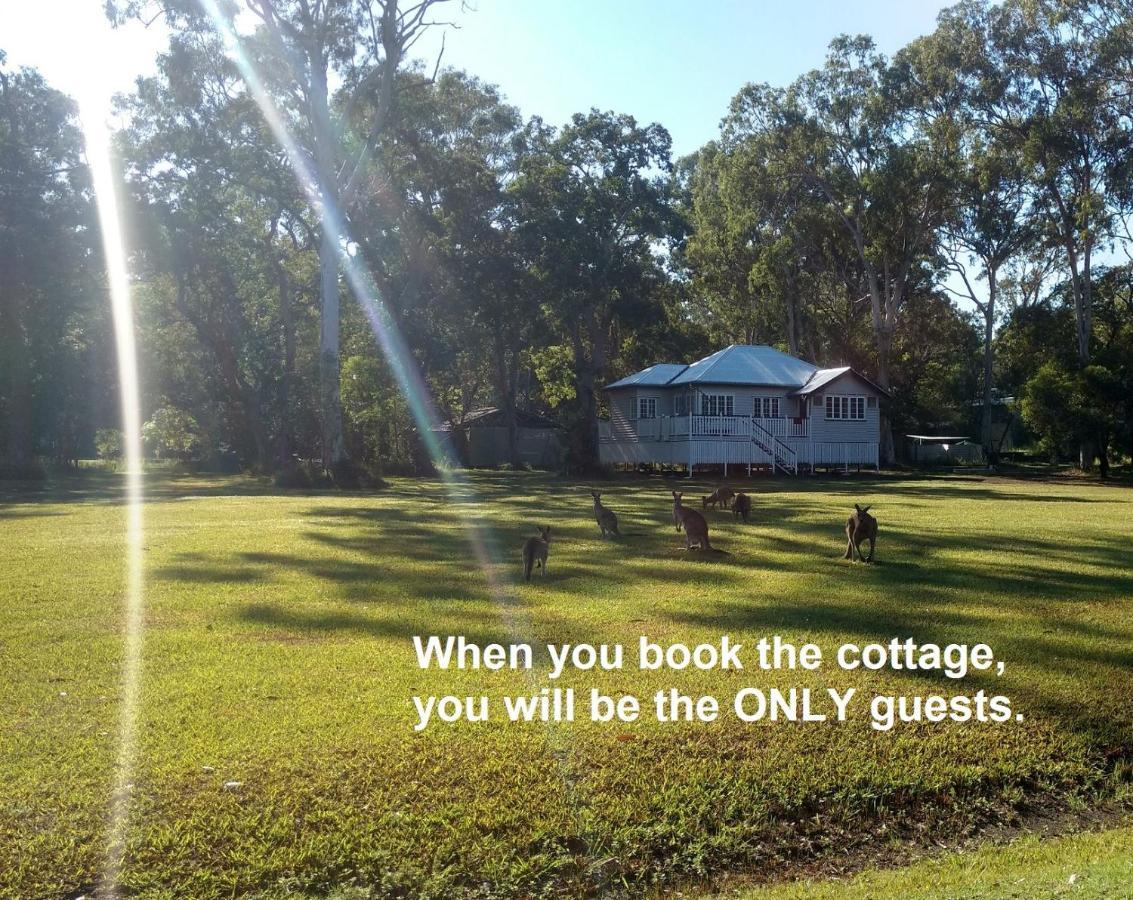 Lake Weyba Noosa Lodge & Kangaroos ペレジアンビーチ エクステリア 写真