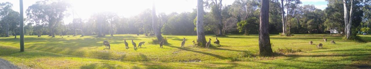 Lake Weyba Noosa Lodge & Kangaroos ペレジアンビーチ エクステリア 写真