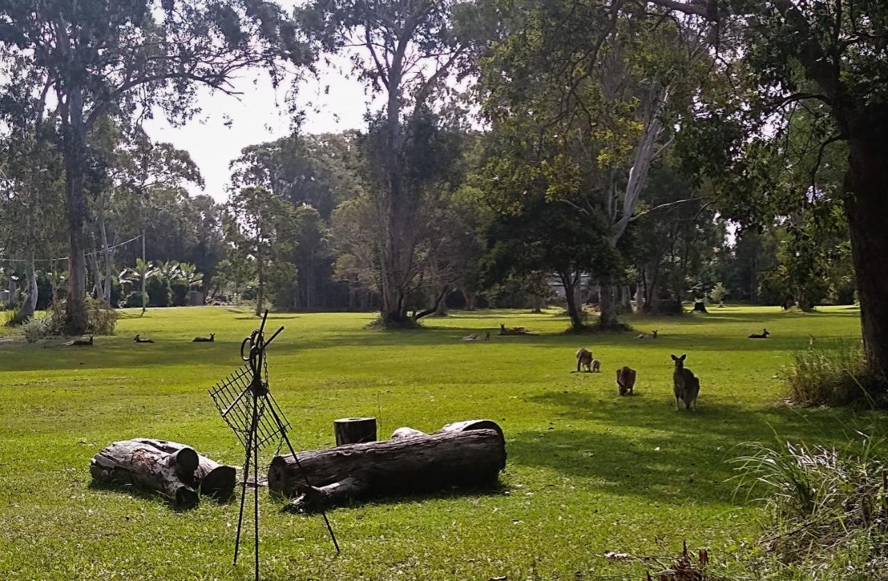 Lake Weyba Noosa Lodge & Kangaroos ペレジアンビーチ エクステリア 写真