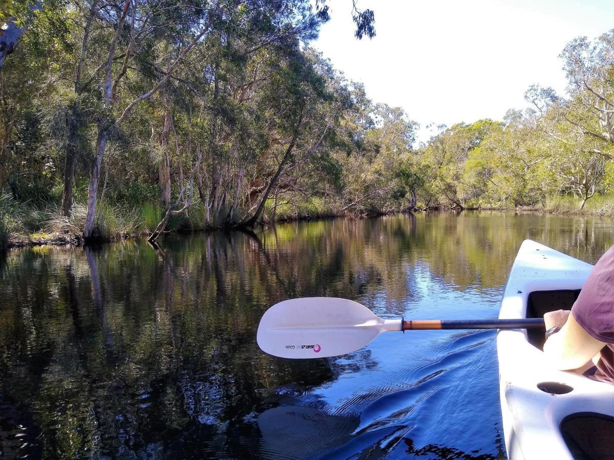 Lake Weyba Noosa Lodge & Kangaroos ペレジアンビーチ エクステリア 写真