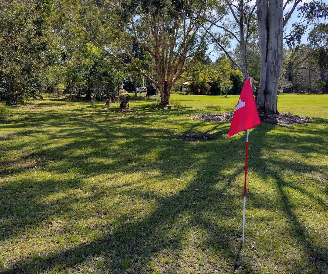 Lake Weyba Noosa Lodge & Kangaroos ペレジアンビーチ エクステリア 写真