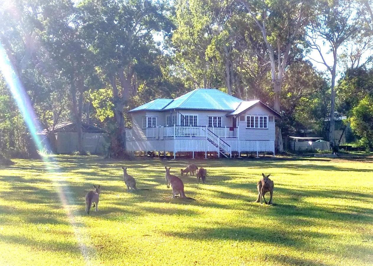 Lake Weyba Noosa Lodge & Kangaroos ペレジアンビーチ エクステリア 写真