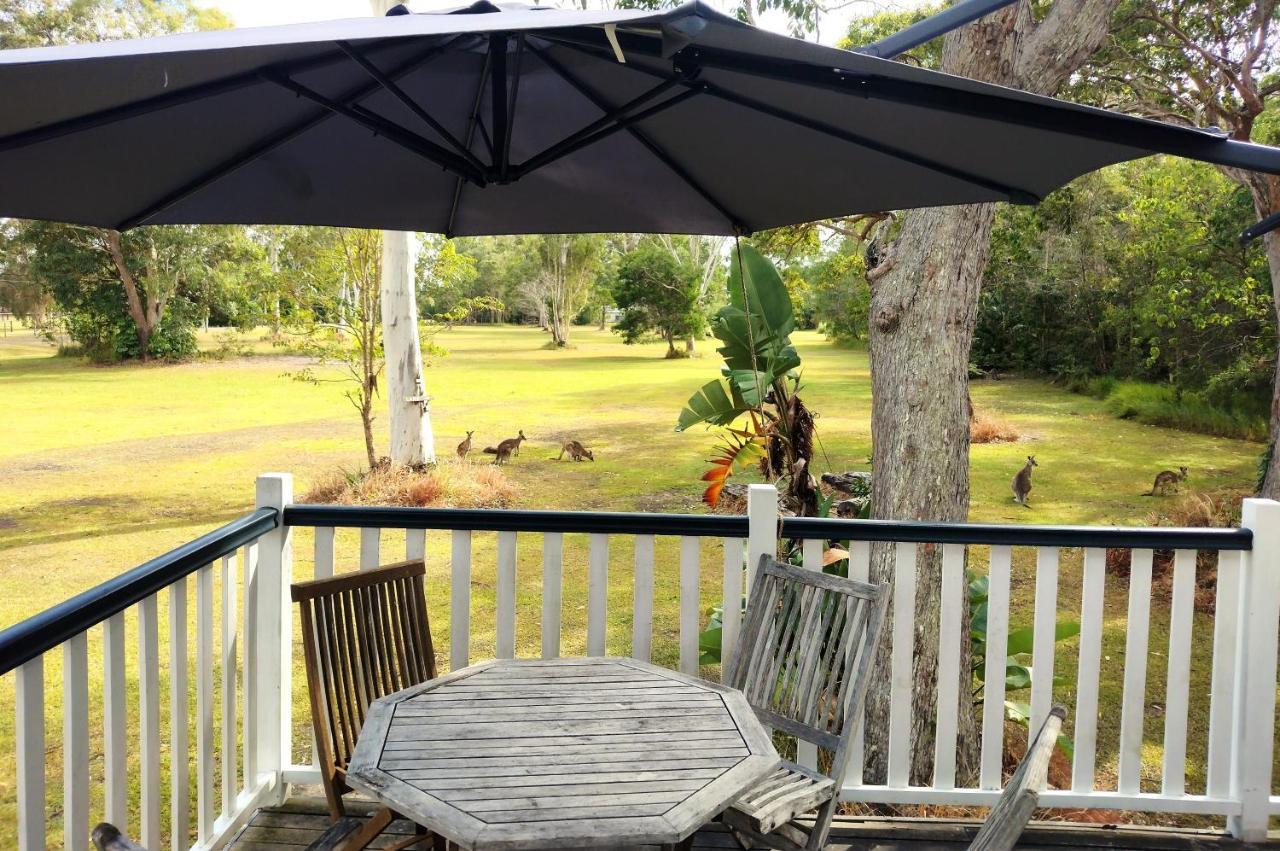 Lake Weyba Noosa Lodge & Kangaroos ペレジアンビーチ エクステリア 写真