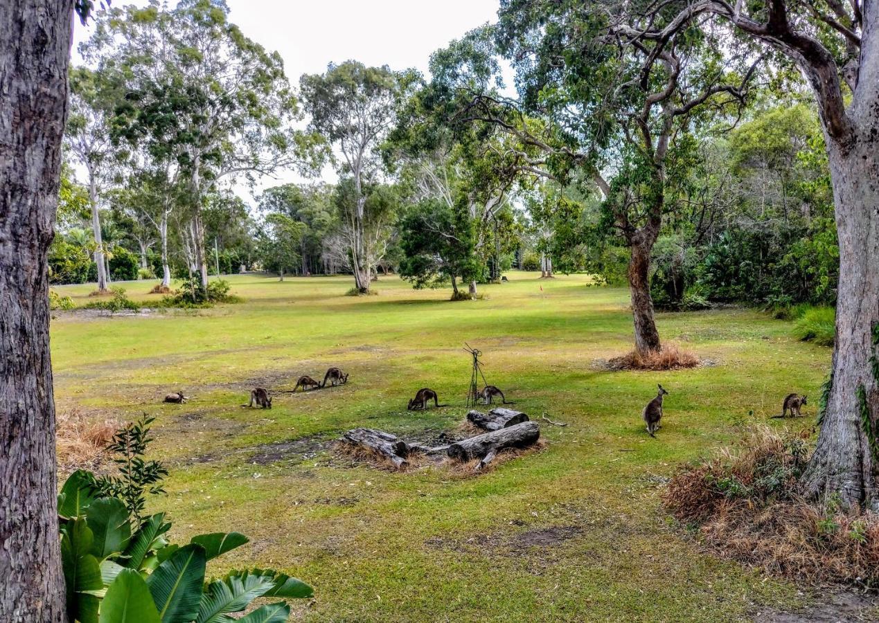 Lake Weyba Noosa Lodge & Kangaroos ペレジアンビーチ エクステリア 写真