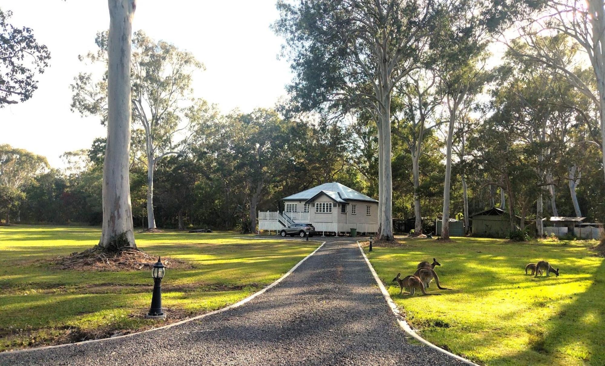 Lake Weyba Noosa Lodge & Kangaroos ペレジアンビーチ エクステリア 写真