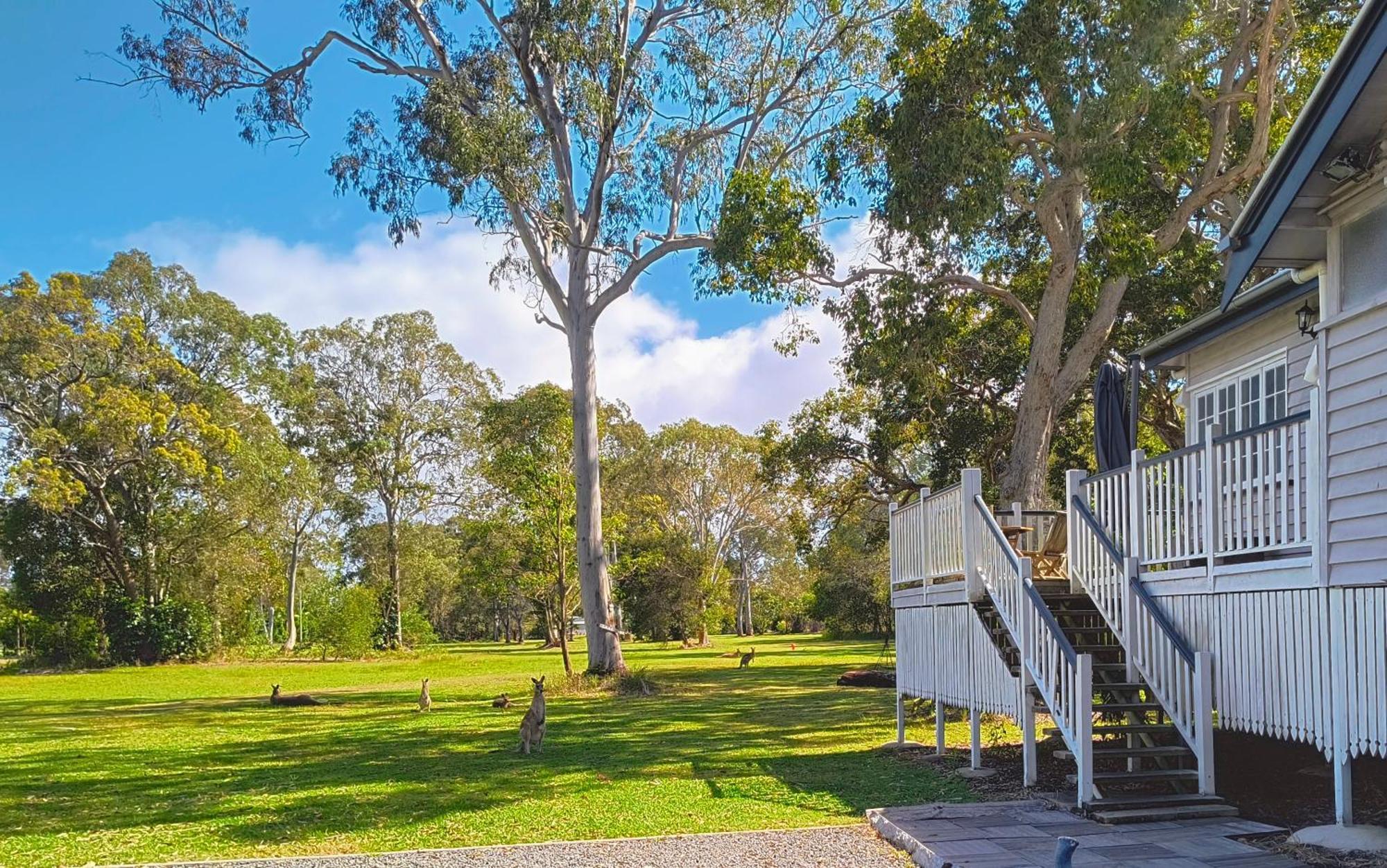 Lake Weyba Noosa Lodge & Kangaroos ペレジアンビーチ エクステリア 写真